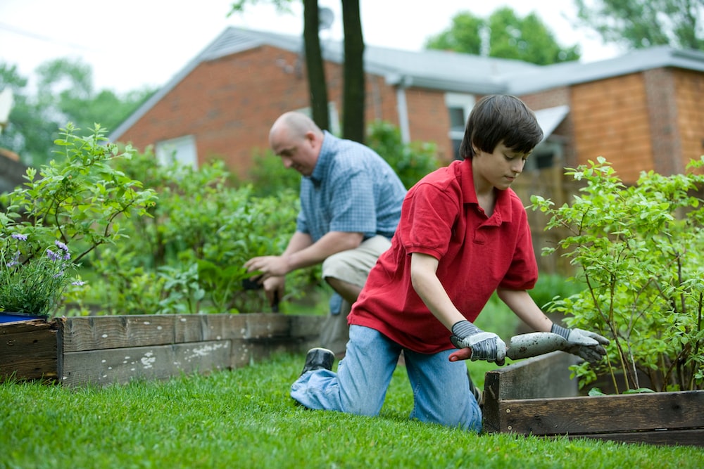 Landscape Servcies